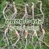 산양산삼 7~8년근(5뿌리/5세트)