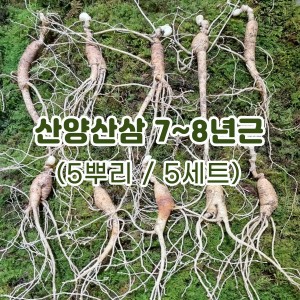 산양산삼 7~8년근(5뿌리/5세트)